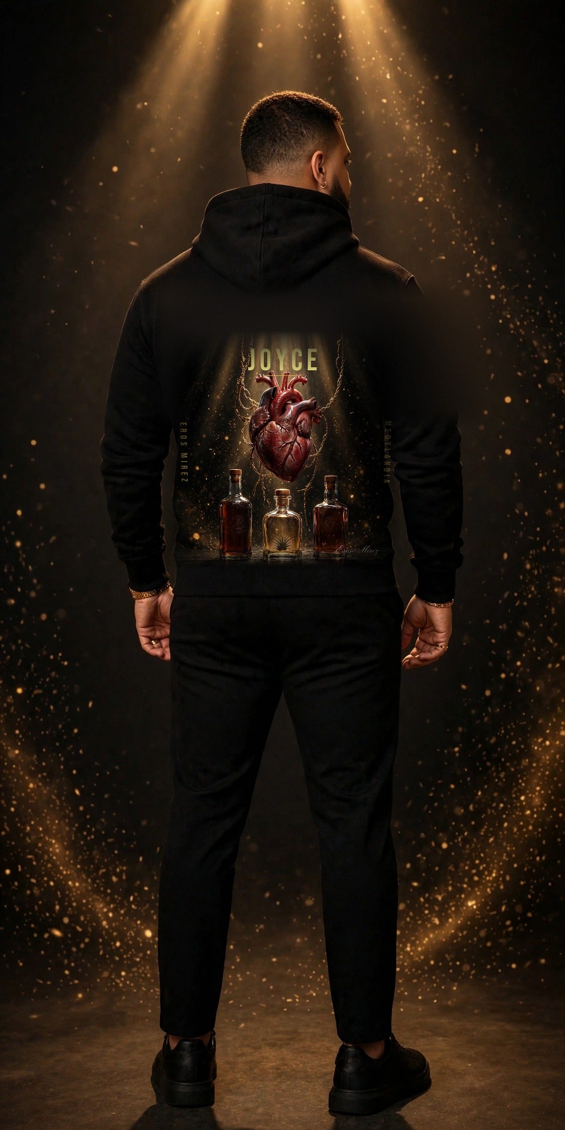 Hoodie La Joyce AOP - dos mannequin